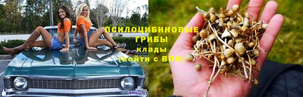 трава Каменногорск