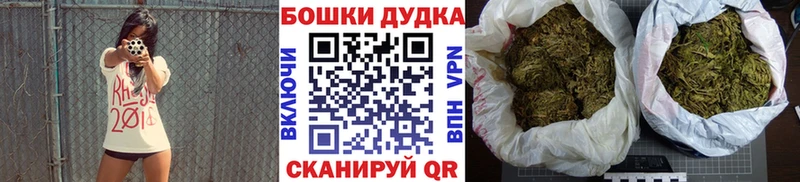 Бошки марихуана Amnesia  Купить  Иннополис 